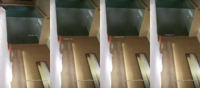 番号200810202027130:骚浪探花激情实录